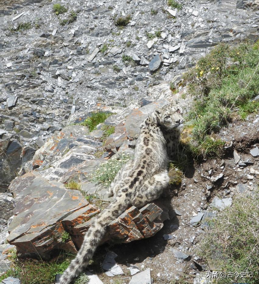 带你了解神秘的青海,青海省冷知识