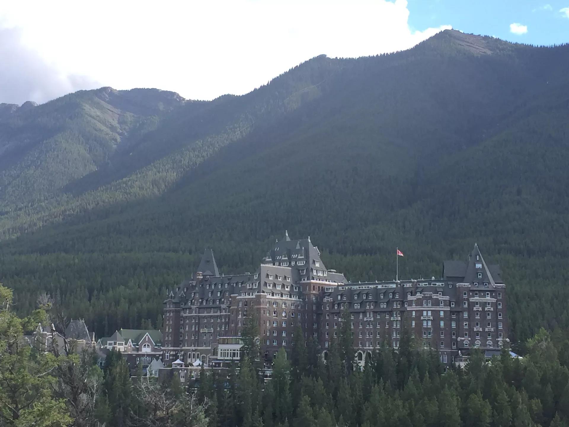 青岛如何带上猫猫去加拿大多伦多,钱猫猫加拿大之旅