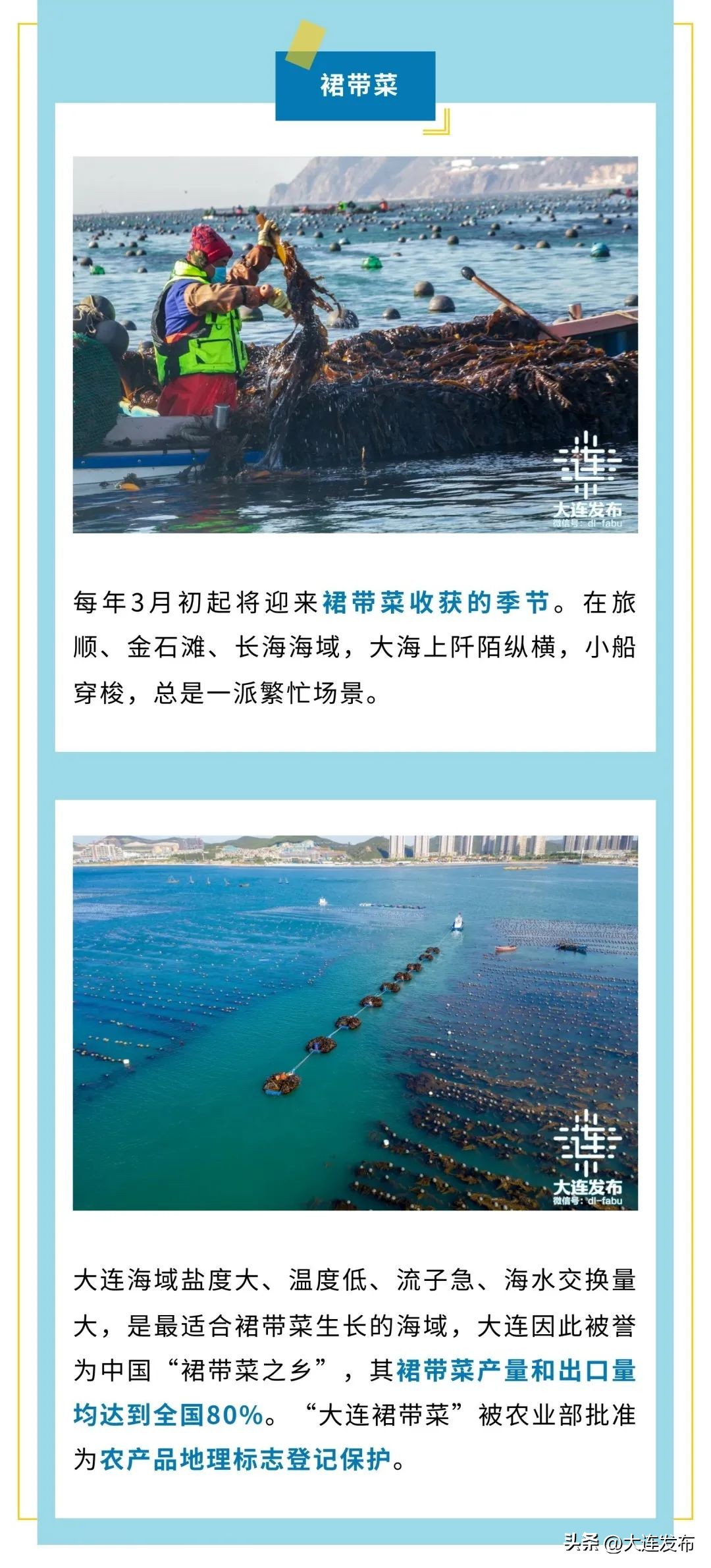 实现海鲜自由的秘诀,实现海鲜自由另一种说法