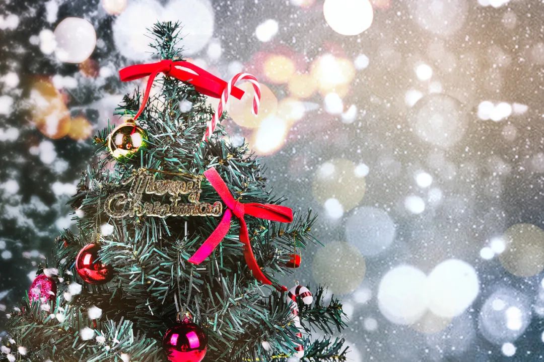 圣诞贺卡给小孩内容写什么,圣诞贺卡内容句子