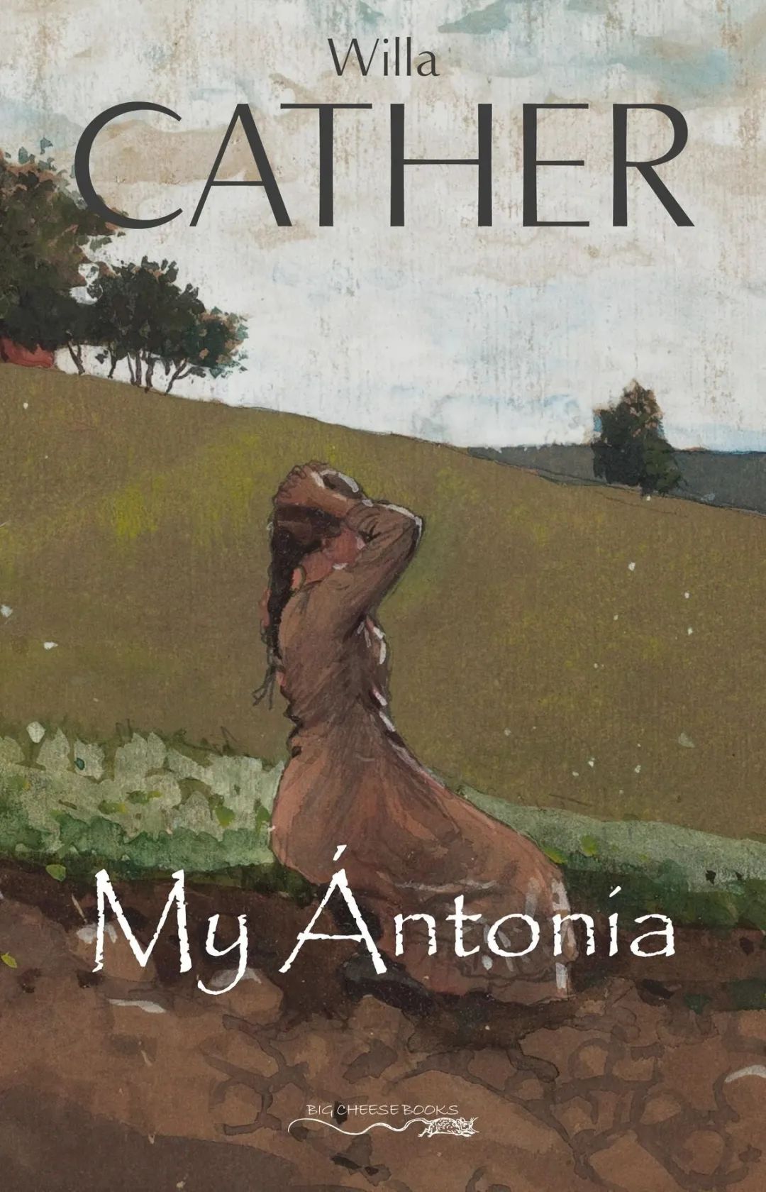 100部中国经典文学小说,红楼梦的小说十大巅峰之作