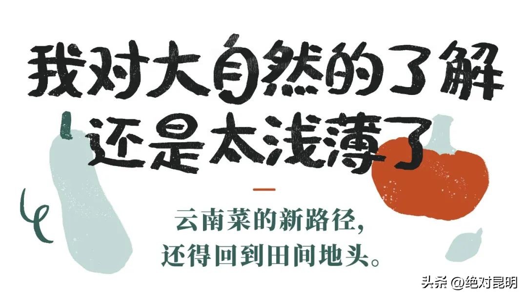 江湖儿女江湖菜,滇菜家常菜100道菜名大全