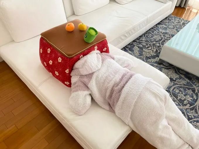 这摄影师是个抓拍鬼才|冷段子2068