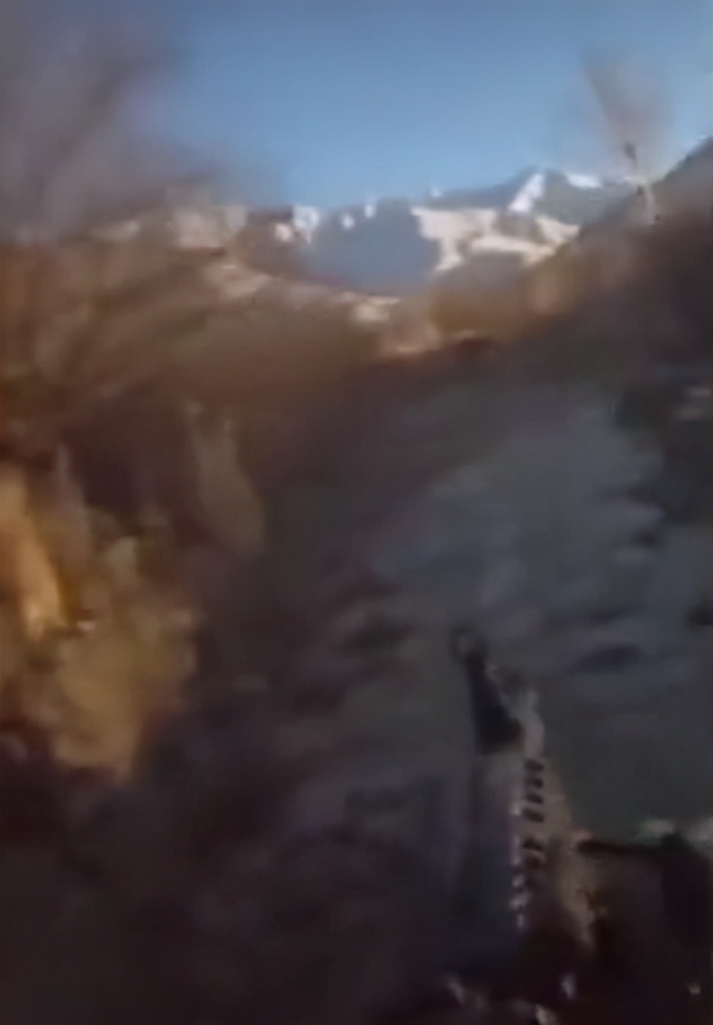 小杨哥连线半只狐狸,小杨哥和半只狐狸连麦