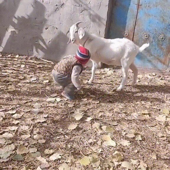 妹子，你的背的包很别致啊，旁边兄弟盯得眼都直了，哈哈哈哈哈哈