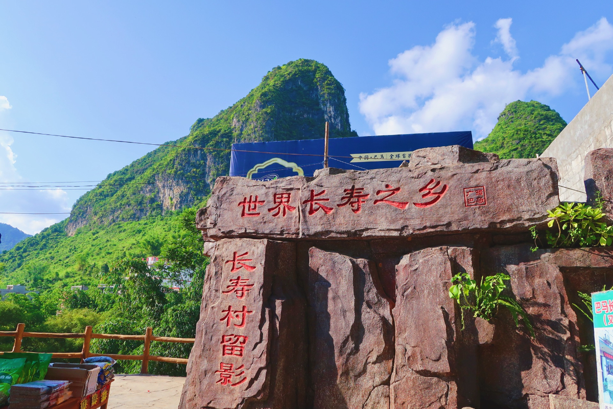 负氧离子净味生态壁材,城市氧吧负氧离子生态壁材