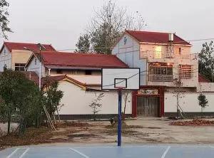 新洲美丽乡村建设名单,新洲区美丽乡村建设名单