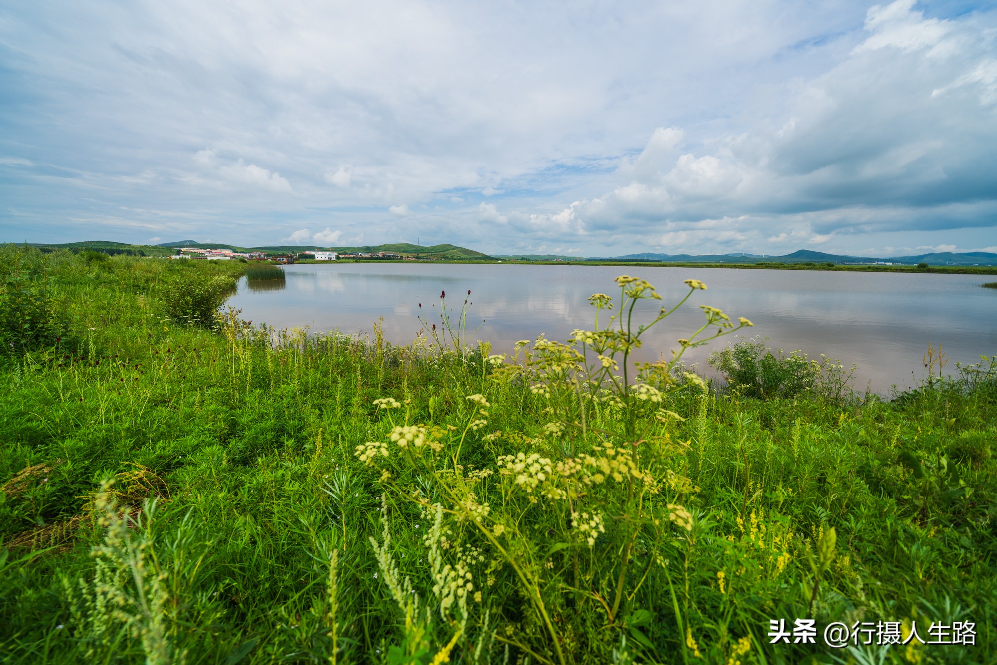 一路向北去黑龙江漠河,一路向北去寻找花海