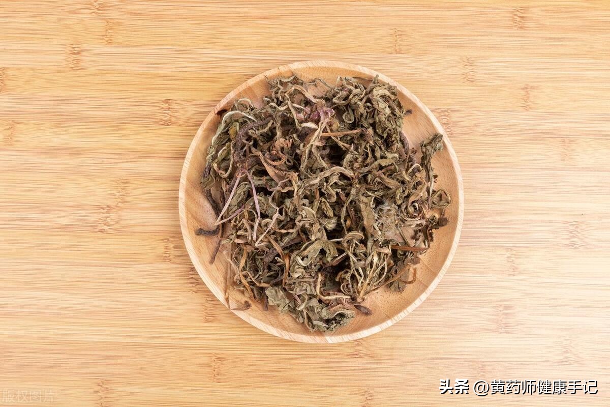 如何使用蒲公英治疗乳腺炎,有乳腺增生蒲公英加什么最好