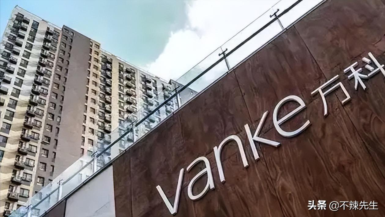 中国房地产业龙头万科集团,中国房地产百强企业