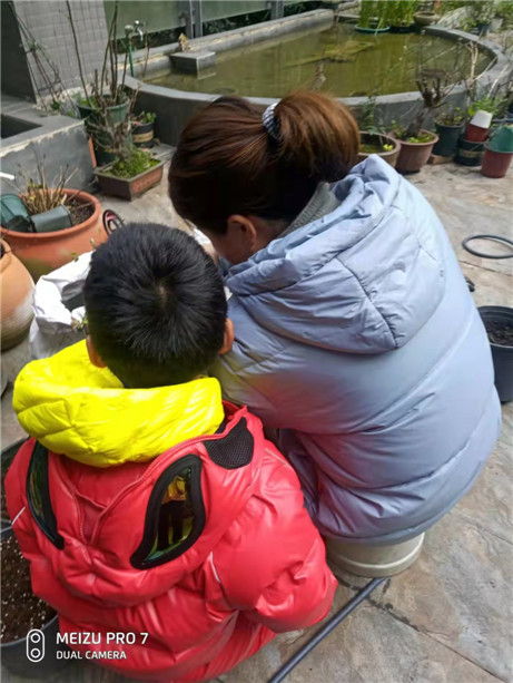 小可爱的小技能,小可爱的进步