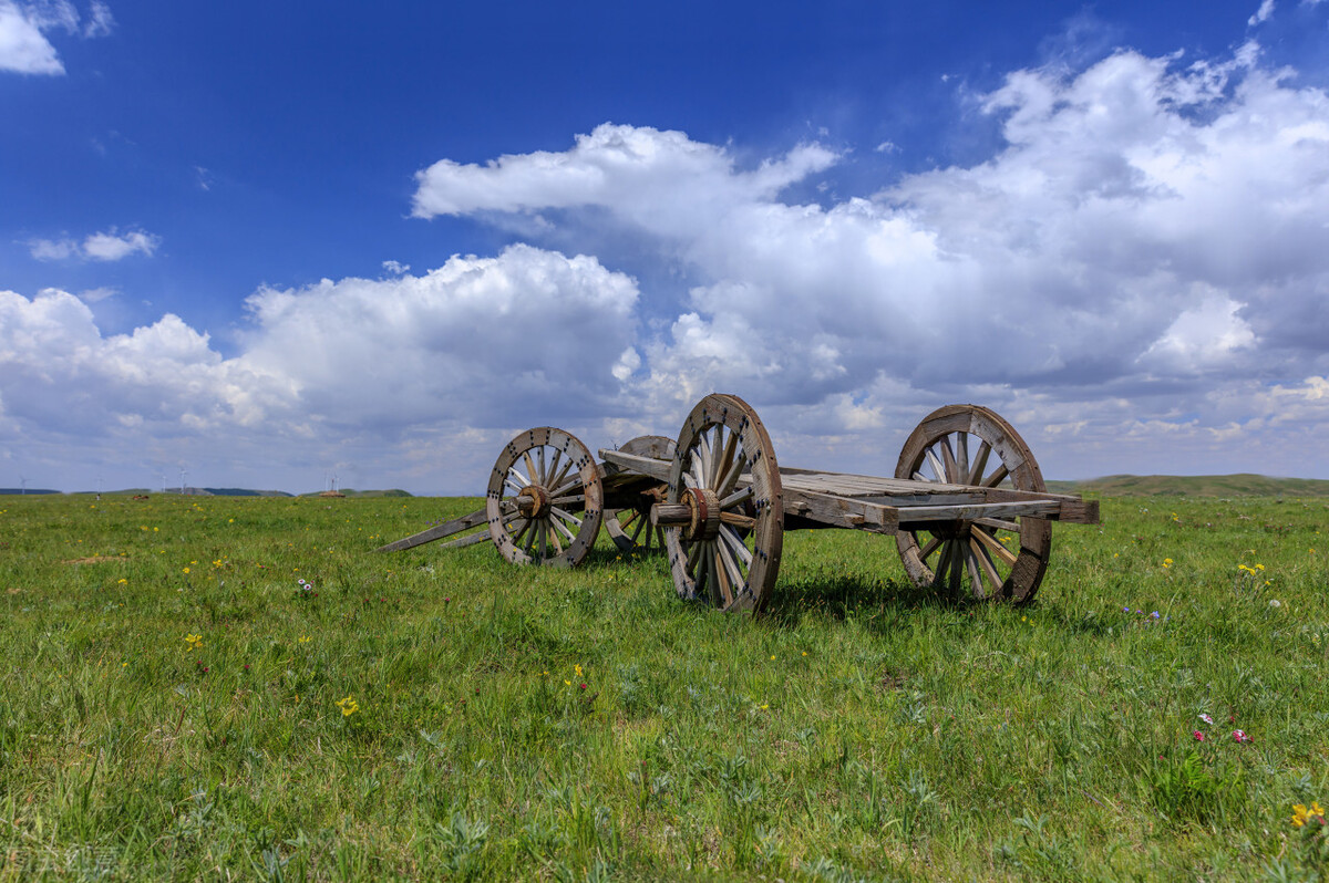 蒙古族的历史文化和习俗,关于蒙古族的各种资料