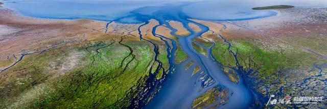 新疆玛纳斯湿地迎来候鸟迁徙,玛纳斯国家湿地公园迎候鸟