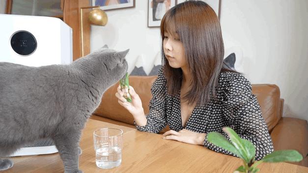 柯林咖啡浓缩液评测,agf浓缩咖啡液瓶装测评