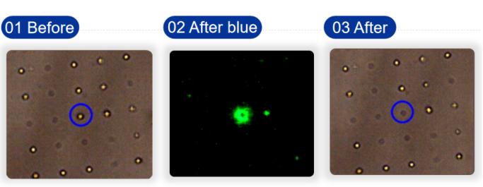 高灵敏度pcr检查乙肝dna,高灵敏度HBVDNA检测