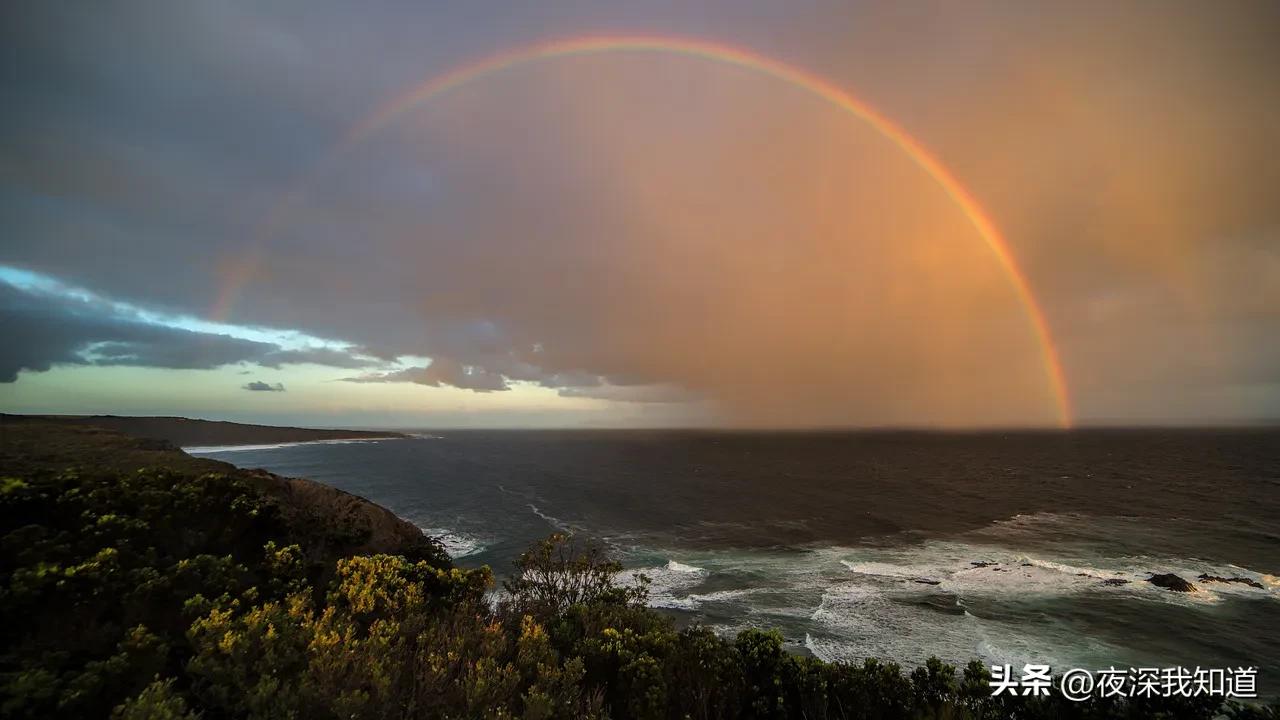 档案袋记录幼儿成长很麻烦,儿童成长档案袋小学的内容