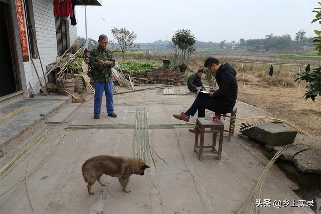 村干部现场讲解振兴乡村致富经验,聚焦三农谈农村如何振兴乡村