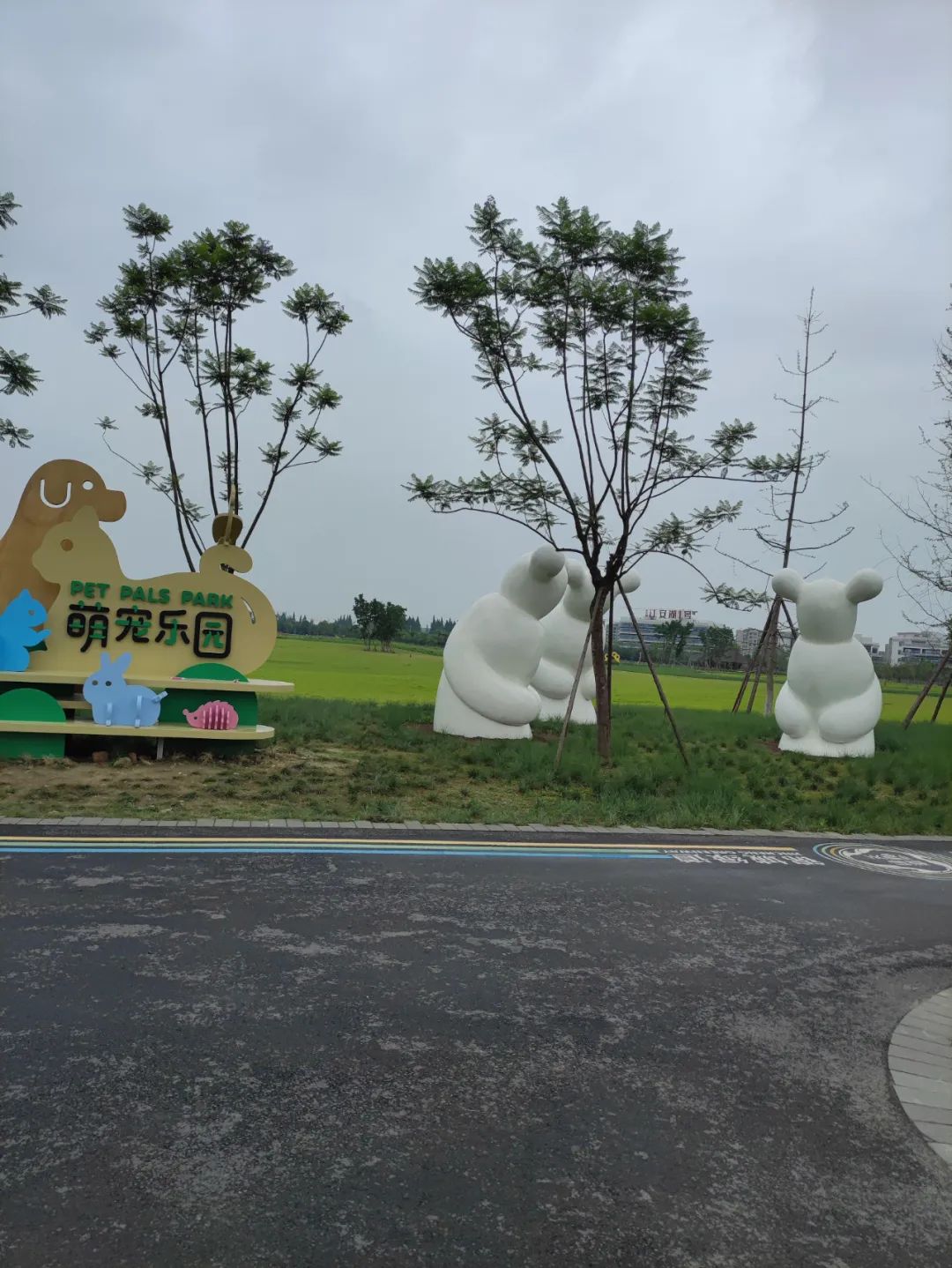 亲测环线,亲测空中自行车