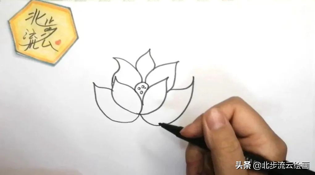 青蛙和荷花简笔画简单又好看,荷花手抄报简单又漂亮简笔画