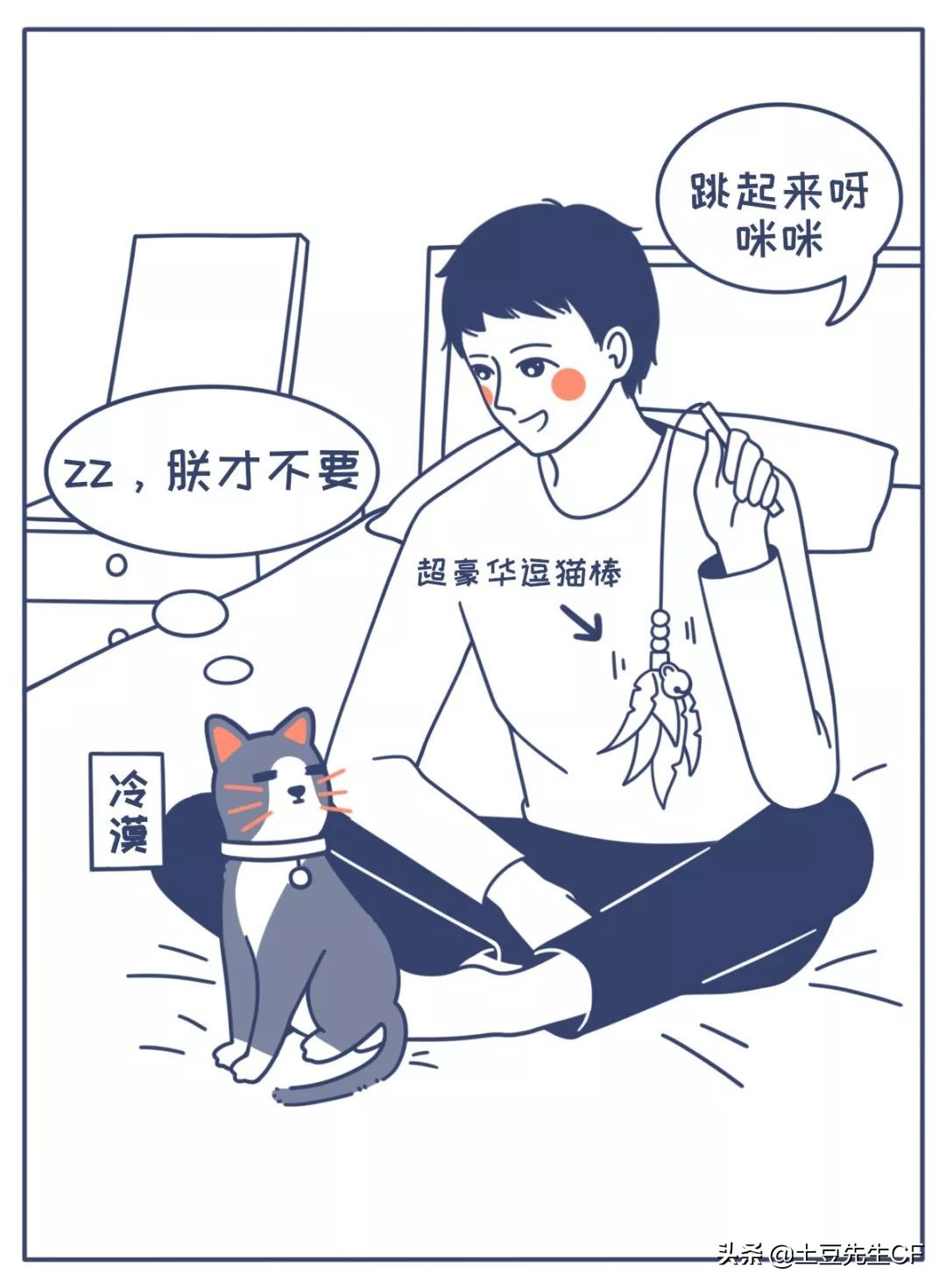 对猫的6个常见误解你中了几条,对猫品种的误解