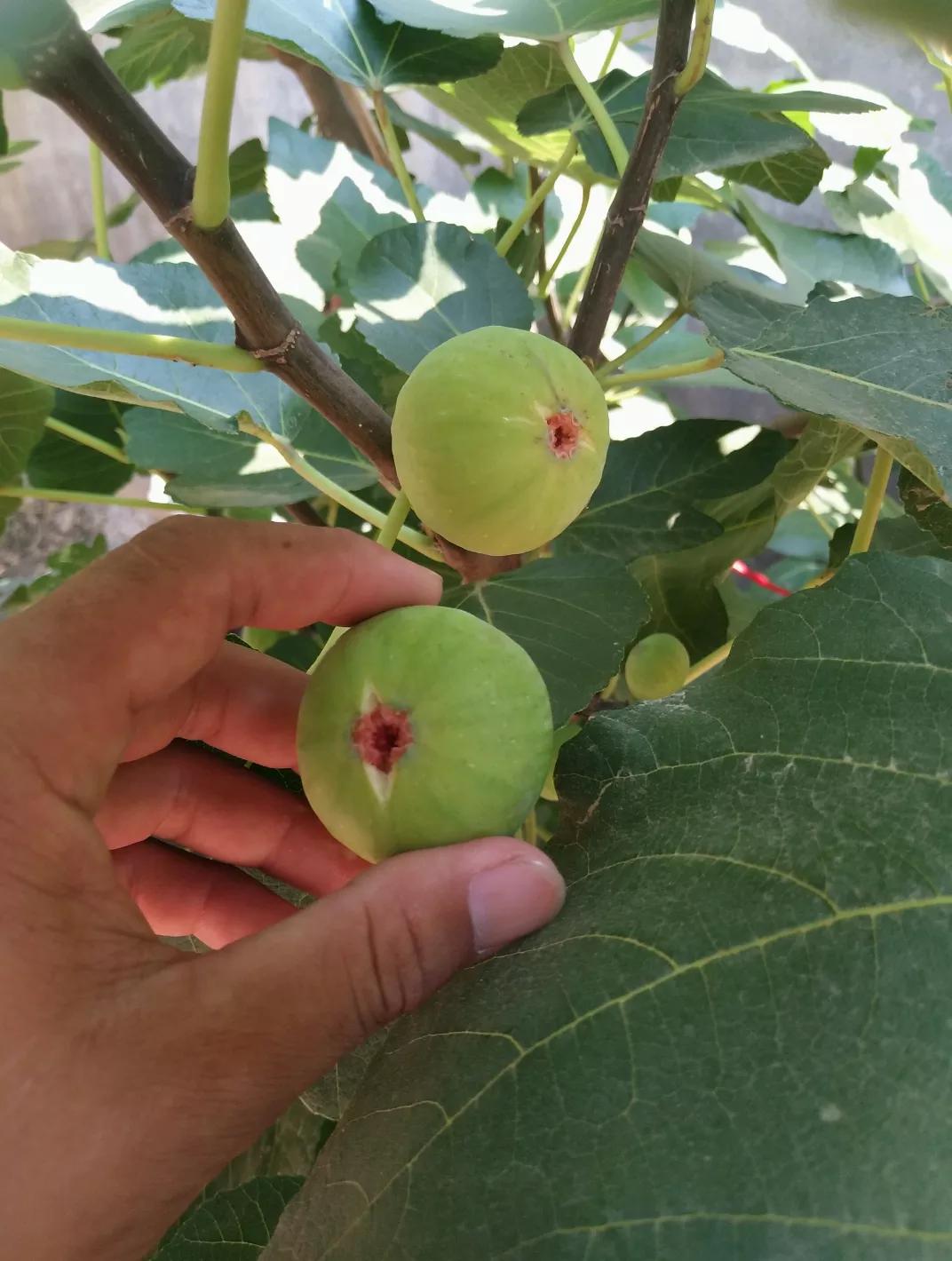 我与火锅的不解情缘,我与焦虑症的不解情缘