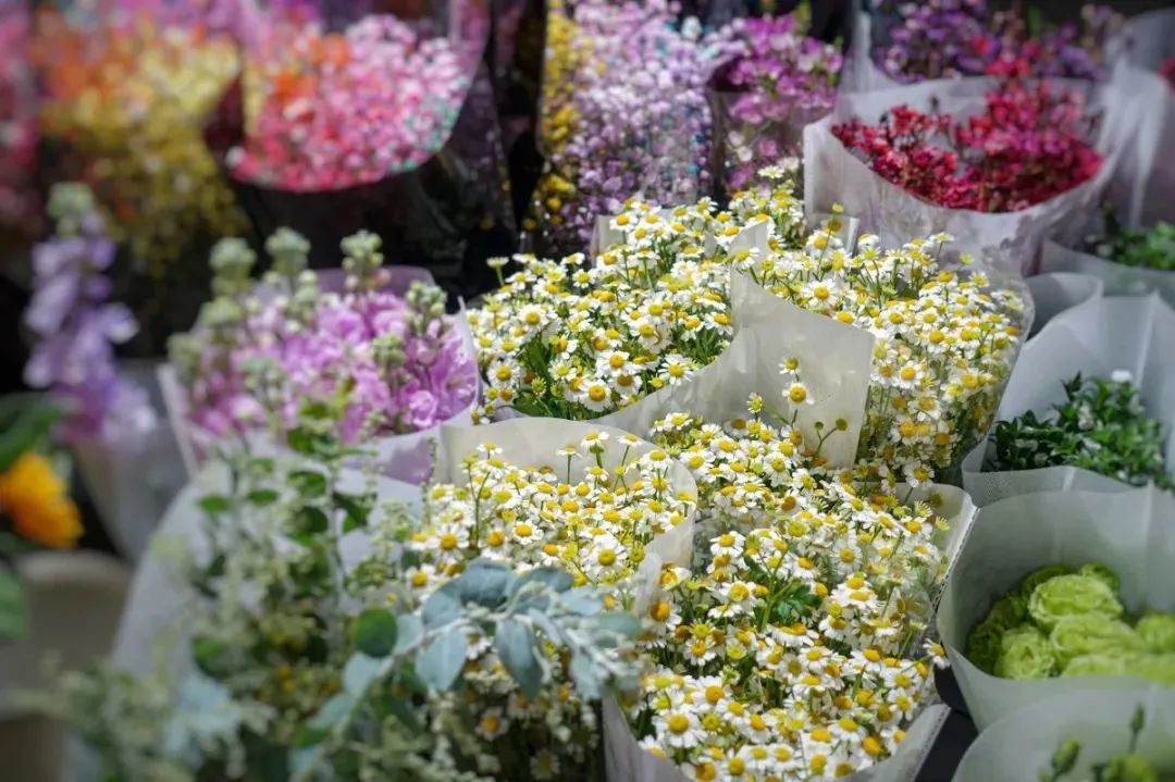 济南花市排名,济南赏花打卡地