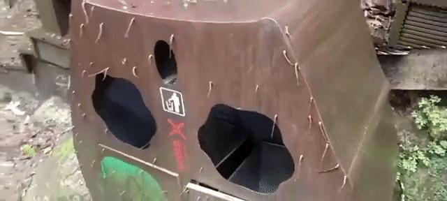 西藏民警巡逻被蚂蝗叮咬,西藏民警巡逻被35只蚂蝗咬伤