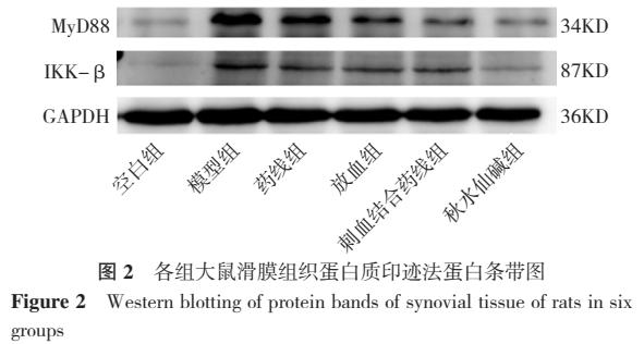 刺血拔罐治痛风视频,刺血治痛风