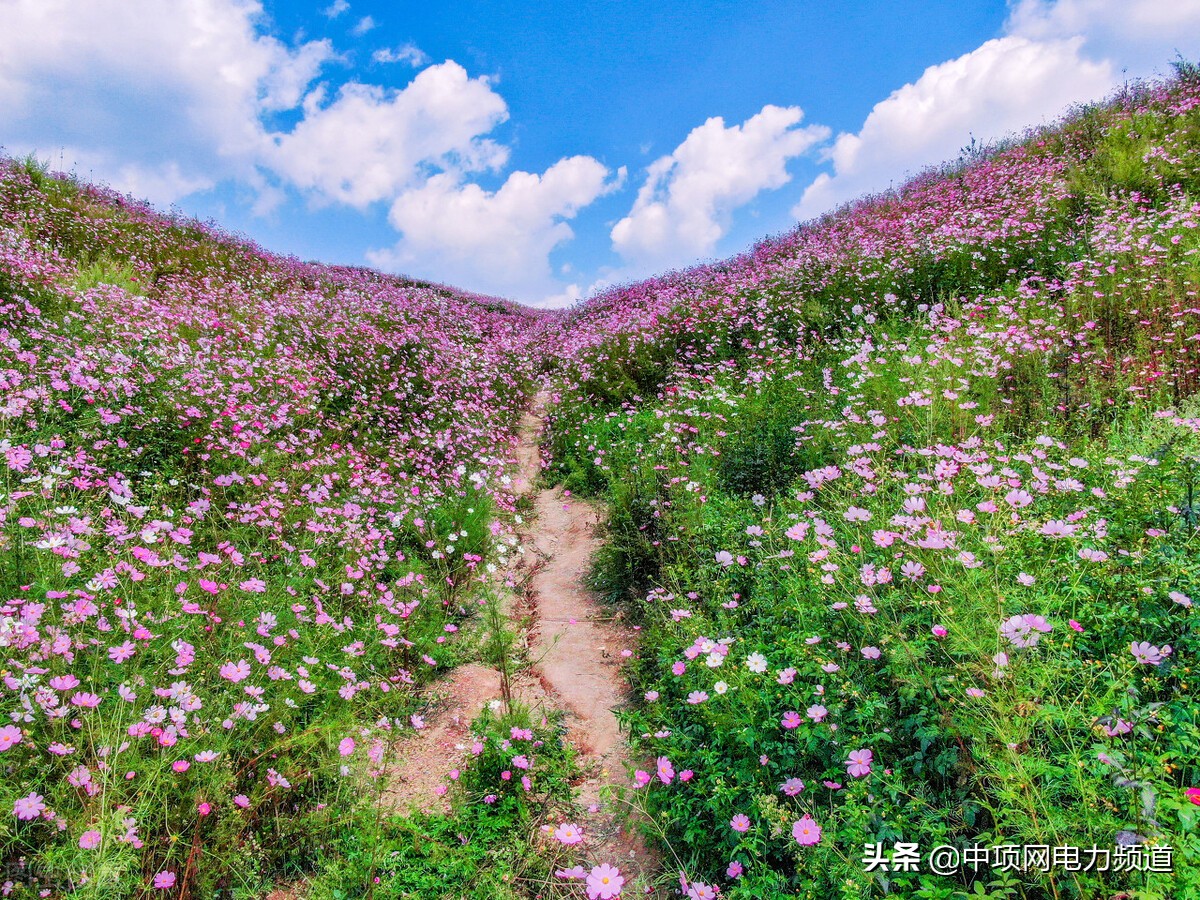 大型风力发电有什么商机,投资太阳能光伏发电项目前景如何