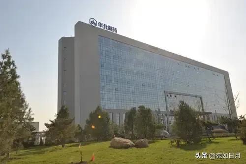 河北石家庄厉害的药企,石家庄药企排名前十名