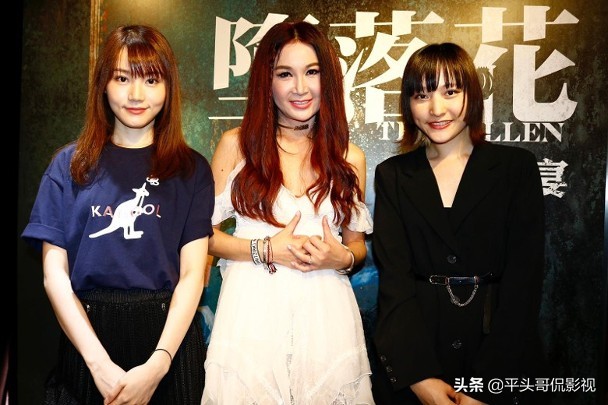 太阳文化娱乐旗下艺人有哪些,太阳文化娱乐旗下艺人