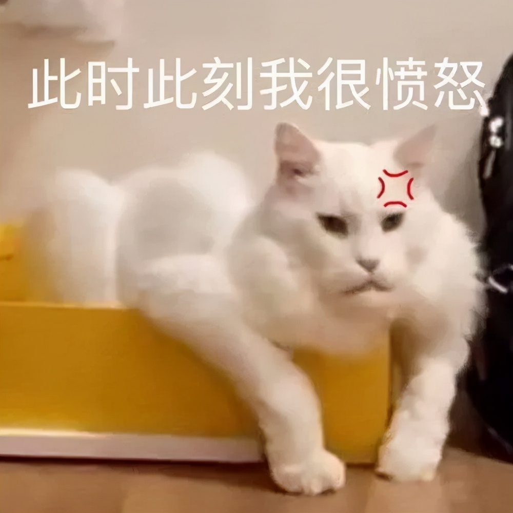 “我再也不想跟老公一块睡了”网友：我出50块，把床铺大点哈哈哈