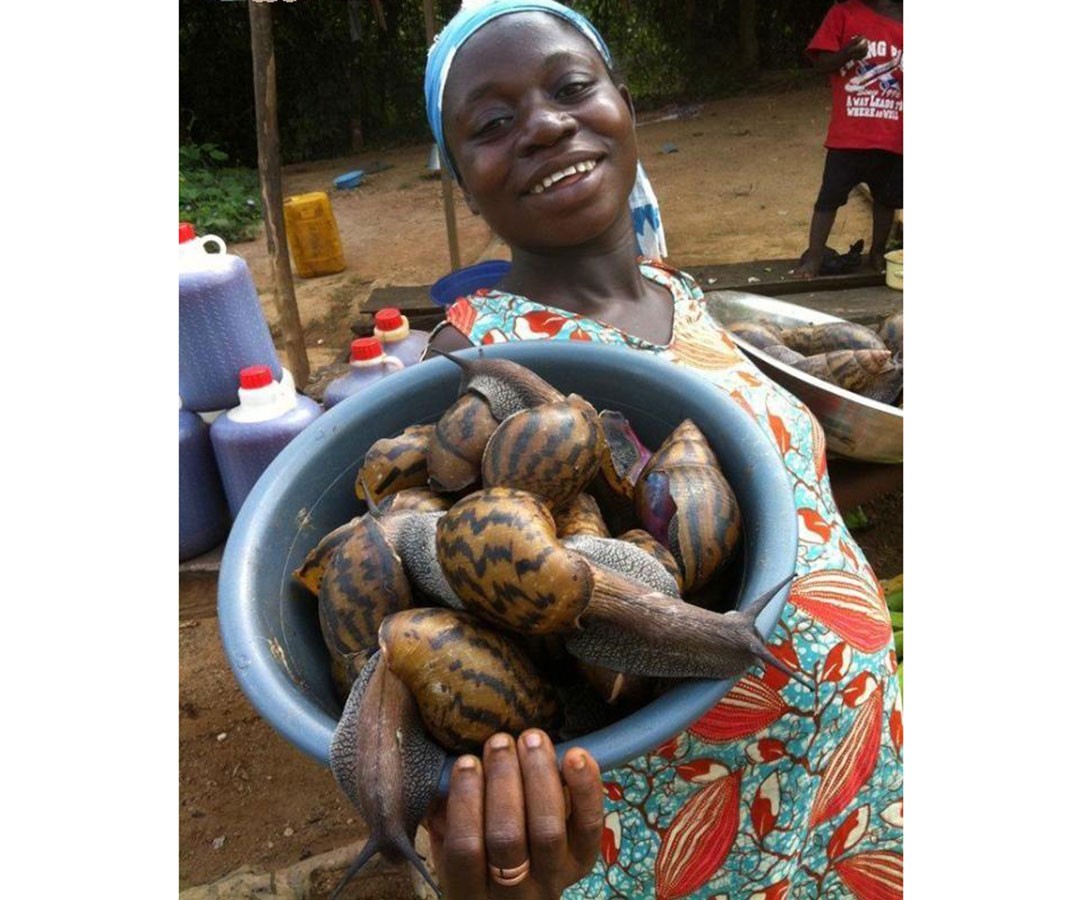 繁衍力极强的几种生物,十大繁殖能力最强的生物