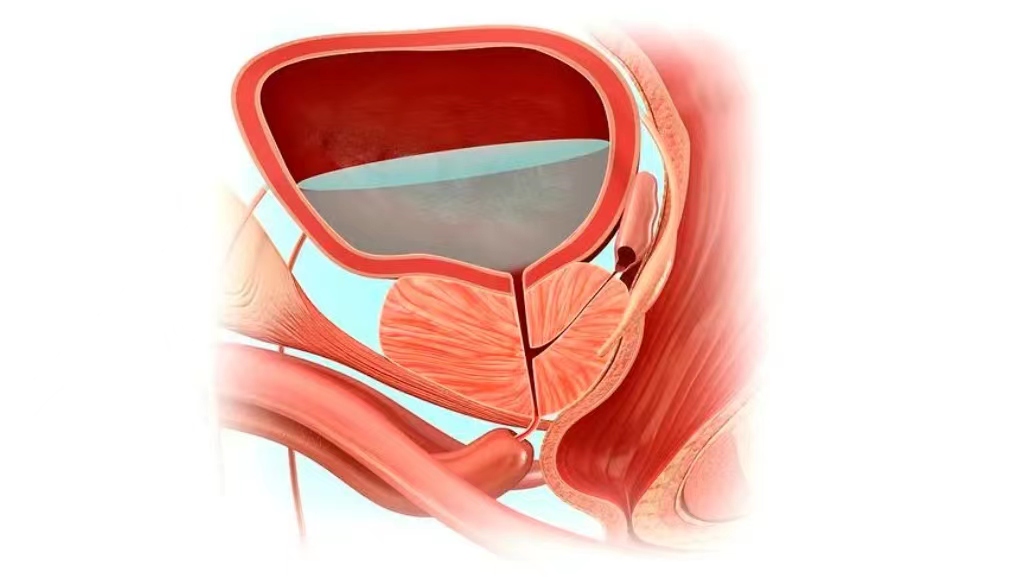 女性洗澡时“站着尿尿”很奇怪？医生：这4个常识，你该早知道！