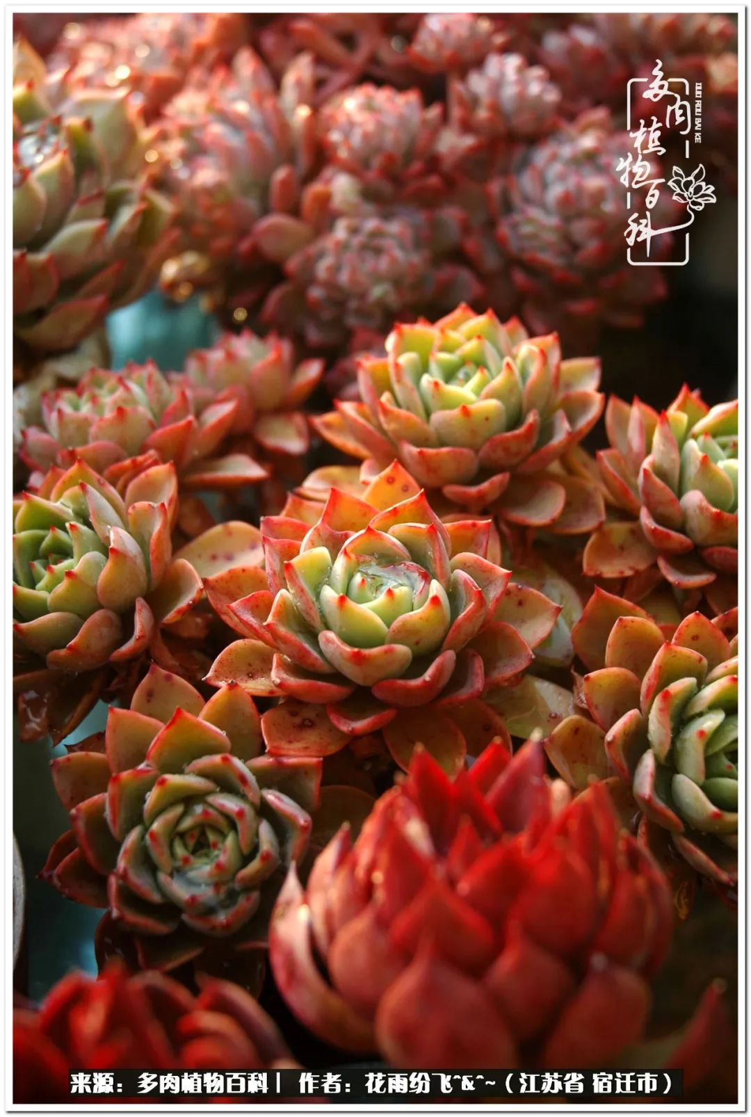 回味童年无忧无虑的快乐时光,童年最快乐的时光