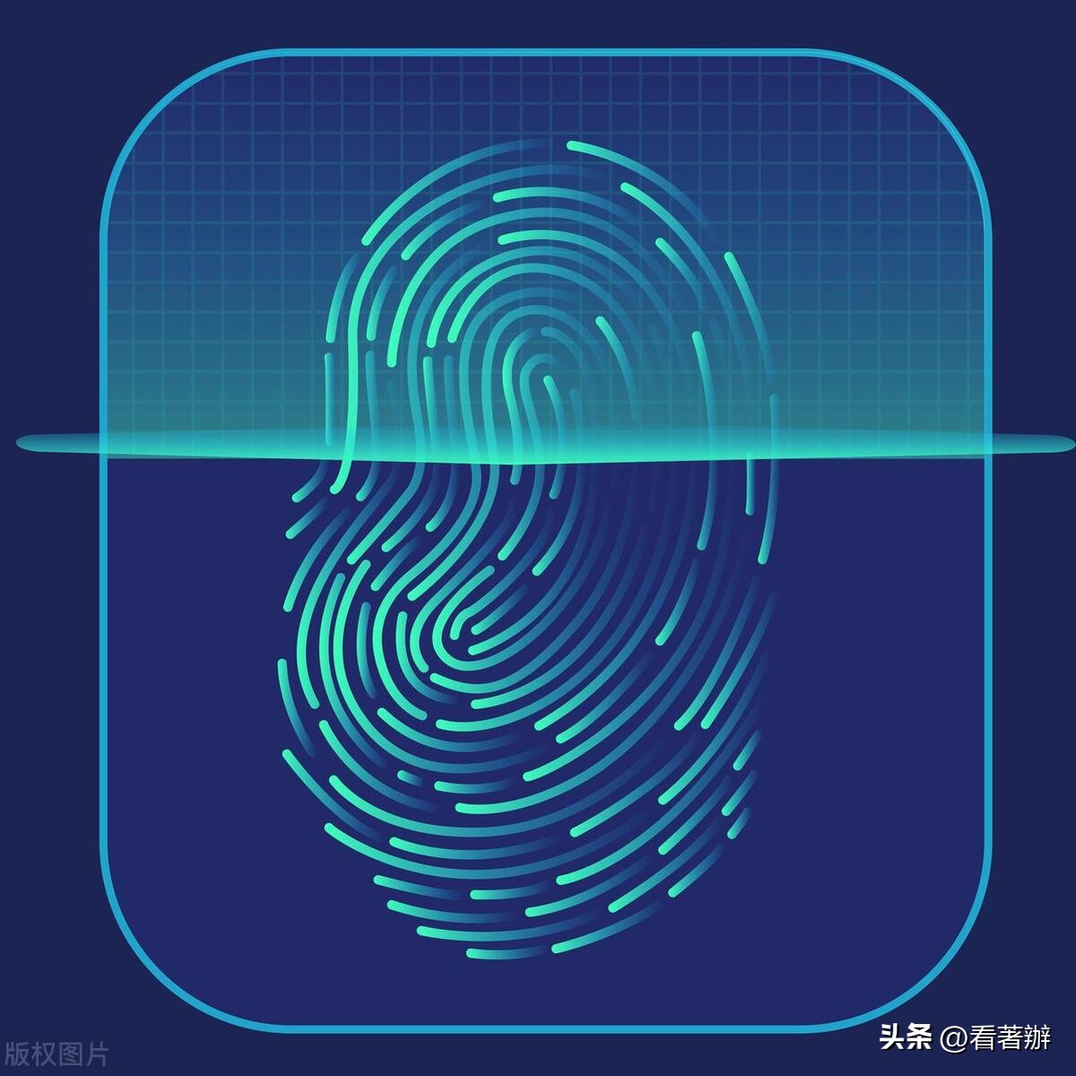 登记注册身份验证app操作流程,登记注册身份验证小程序怎么下载