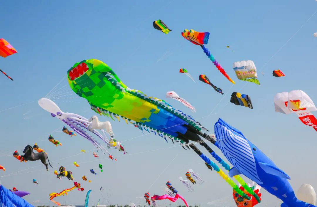 打卡不一样的潍坊，这座宝藏城市有颜又有料！