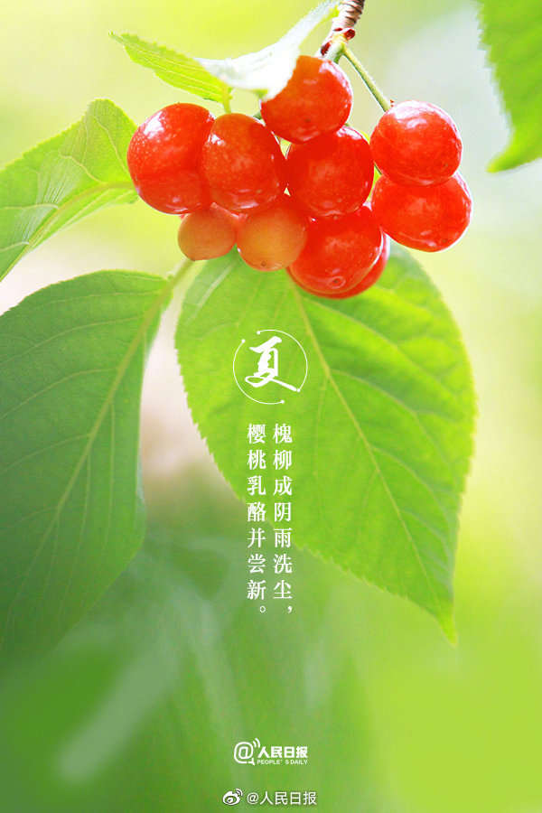 共赏夏日美景诗词,关于夏日风景的古诗名句