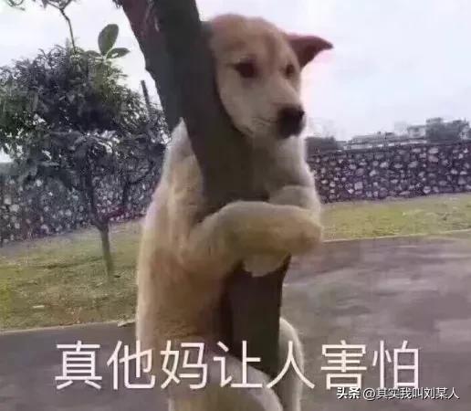 扫码中奖平板骗局被抓,路边扫码中奖平板电脑被骗过程