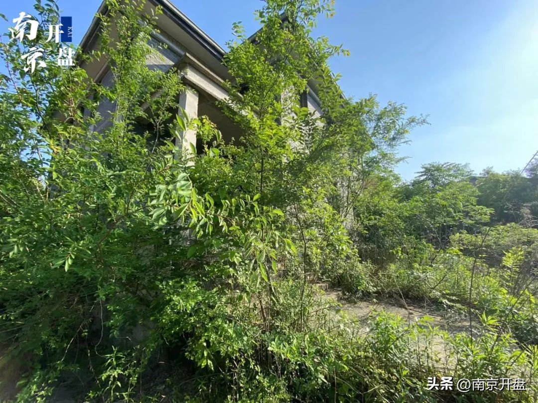 价格腰斩！南京知名豪宅拍卖，现场破败不堪