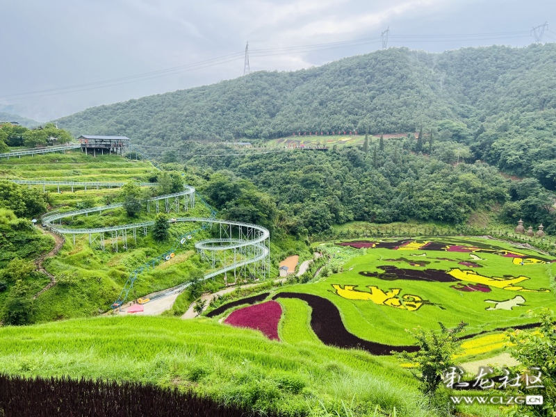 昆明市团结乡核桃箐彩色稻田,团结乡黑核箐彩色稻田