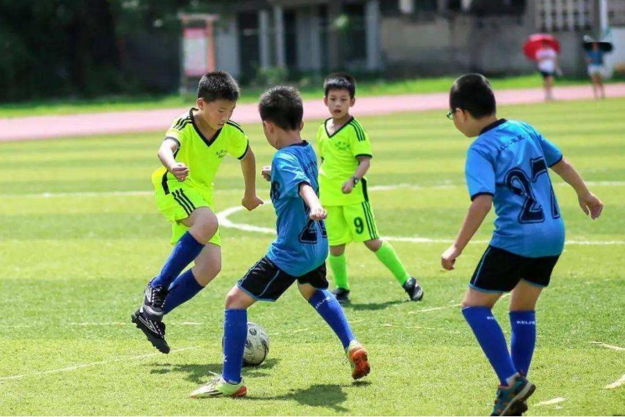 中国最根本的问题,最基本的问题都回答不来怎么办