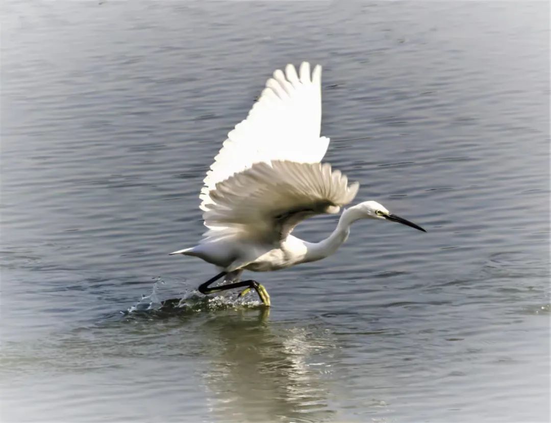 江城夜话全部视频,江城夜话