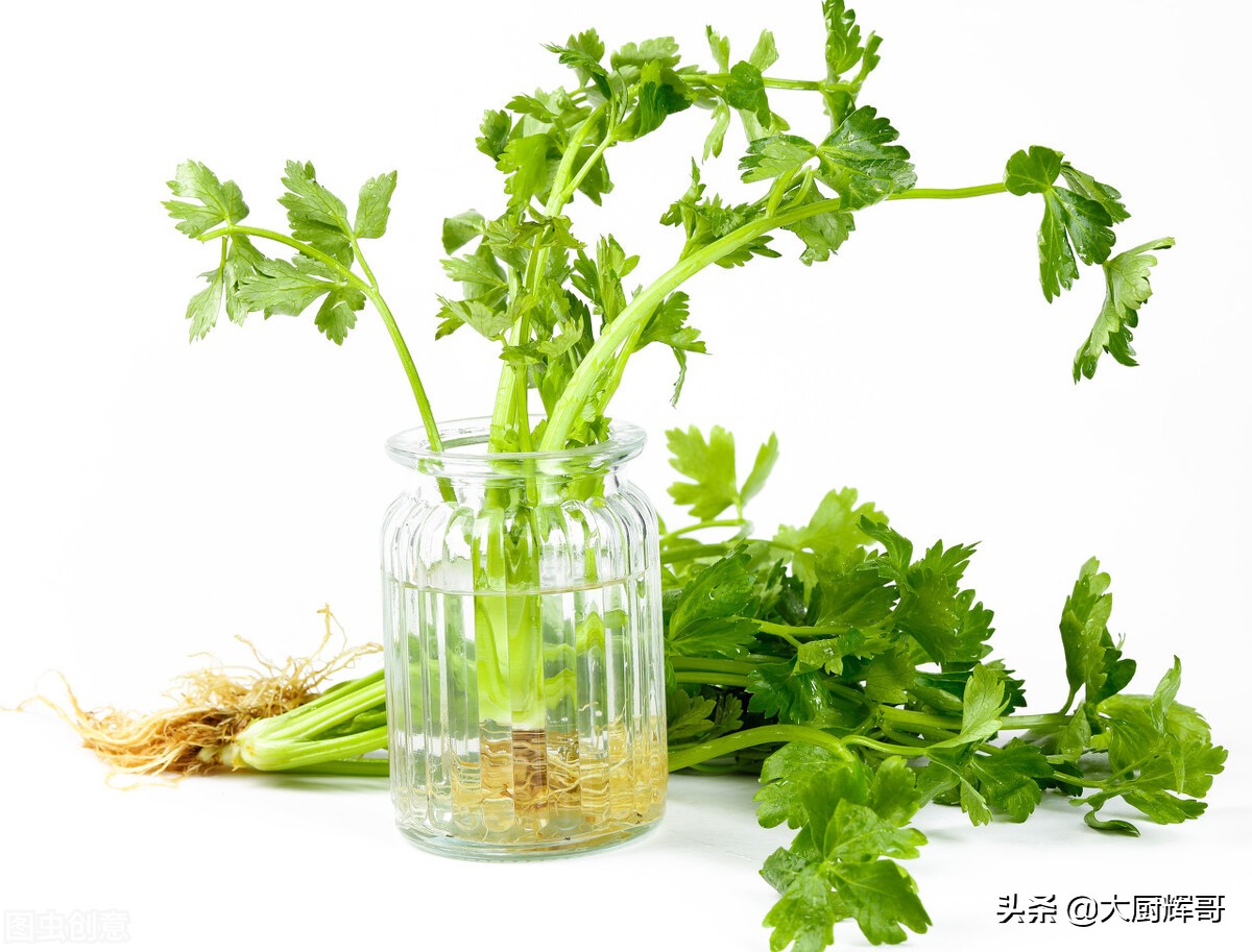 遇上这菜别手软,健脾养胃儿菜怎么做