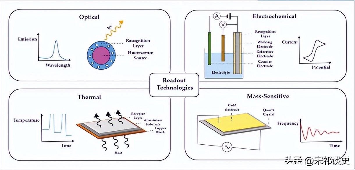 创新科技:基于固定化单金纳米棒的汞合金等离子体检测技术