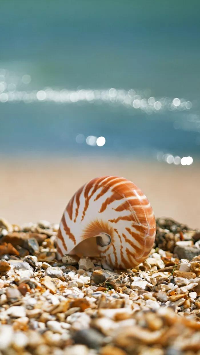 最惊艳的自然风景手机壁纸超清,风景壁纸动态壁纸高清全屏90帧