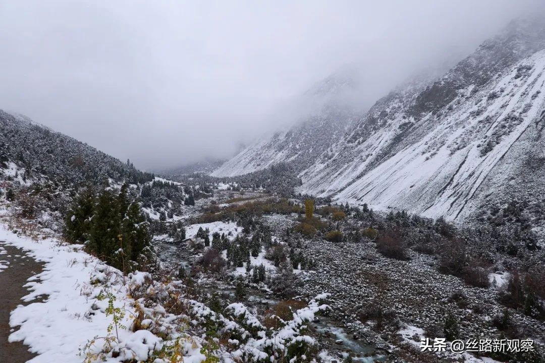 自驾中亚五国合集,俄罗斯程序员来中国