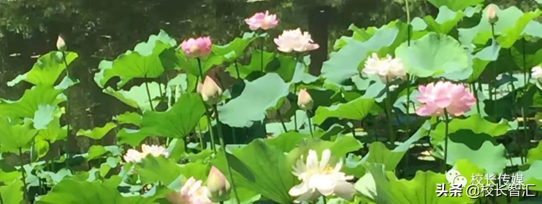 聚焦双减提质增效,双减形势下减负提质增效