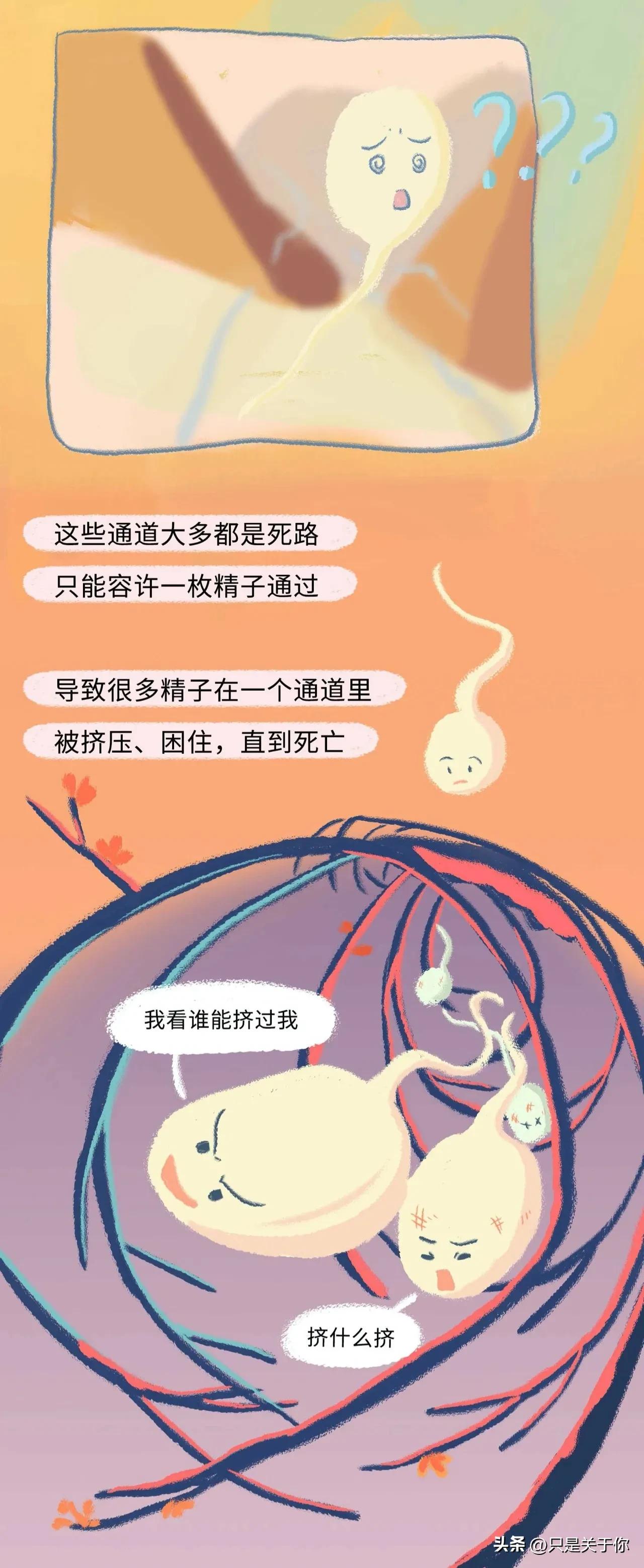 漫画：精子进入女生体内的全过程