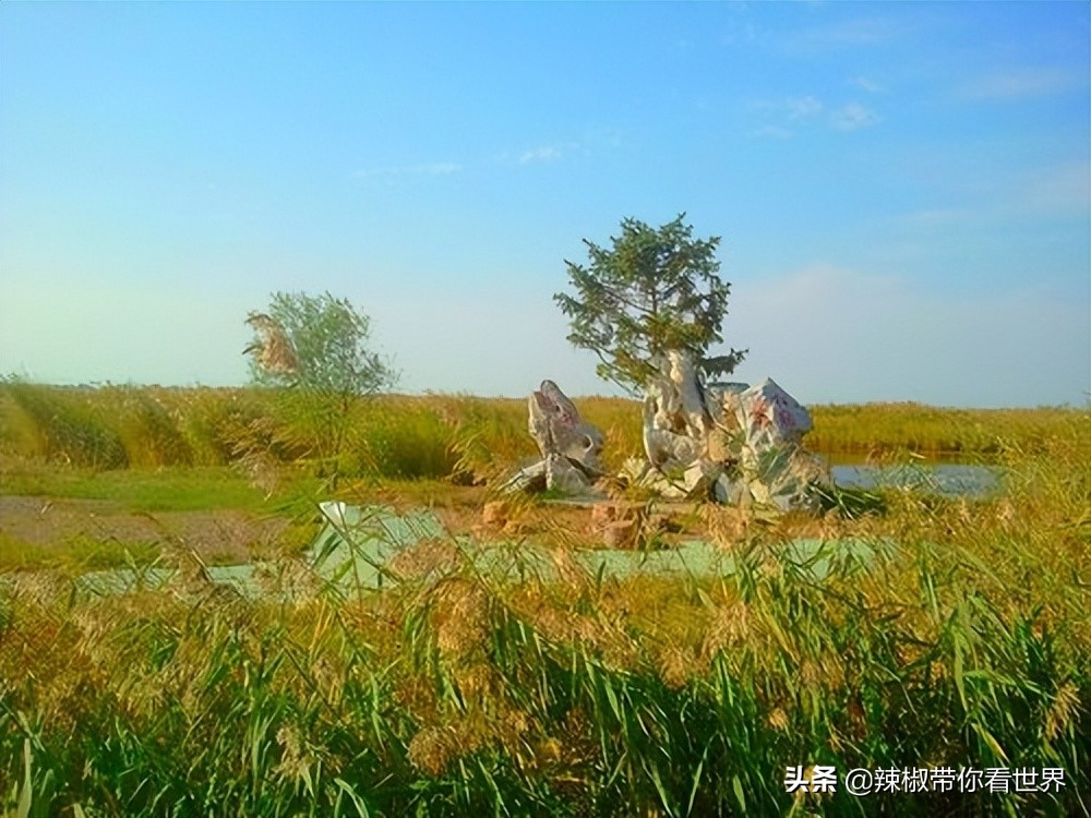 美在黑龙江：走进诗意山水之齐齐哈尔这里是世界大湿地中国鹤家乡